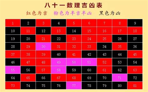 81靈動數怎麼算|閱讀文章 